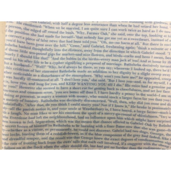 Litographs Far From the Madding Crowd Thomas Hardy Blue Infinity Scarf EUC - Picture 7 of 12